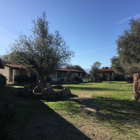 Turismo Rurale Su Cuile Villa Dorgali Exteriör bild