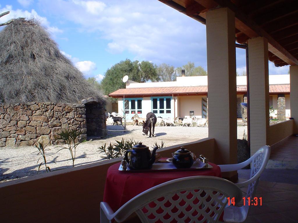 Turismo Rurale Su Cuile Villa Dorgali Exteriör bild