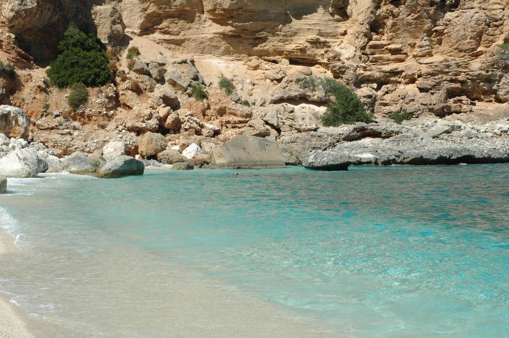 Turismo Rurale Su Cuile Villa Dorgali Exteriör bild