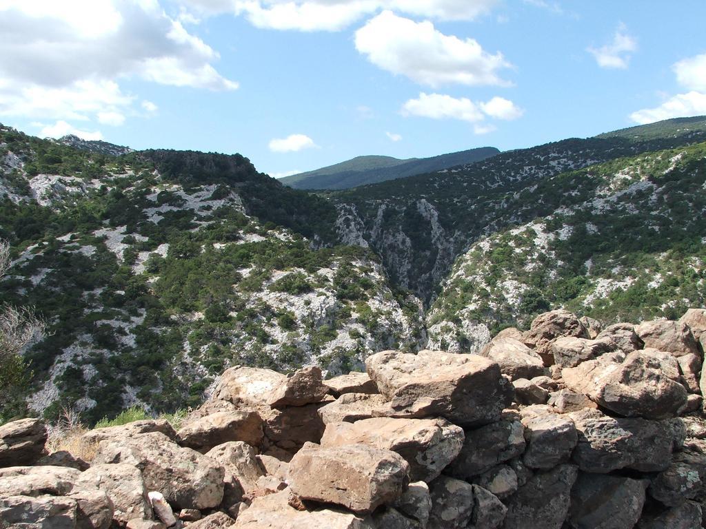 Turismo Rurale Su Cuile Villa Dorgali Exteriör bild
