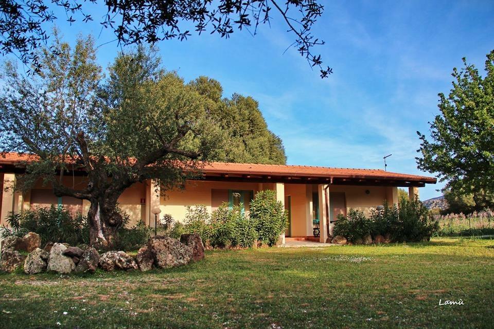 Turismo Rurale Su Cuile Villa Dorgali Exteriör bild