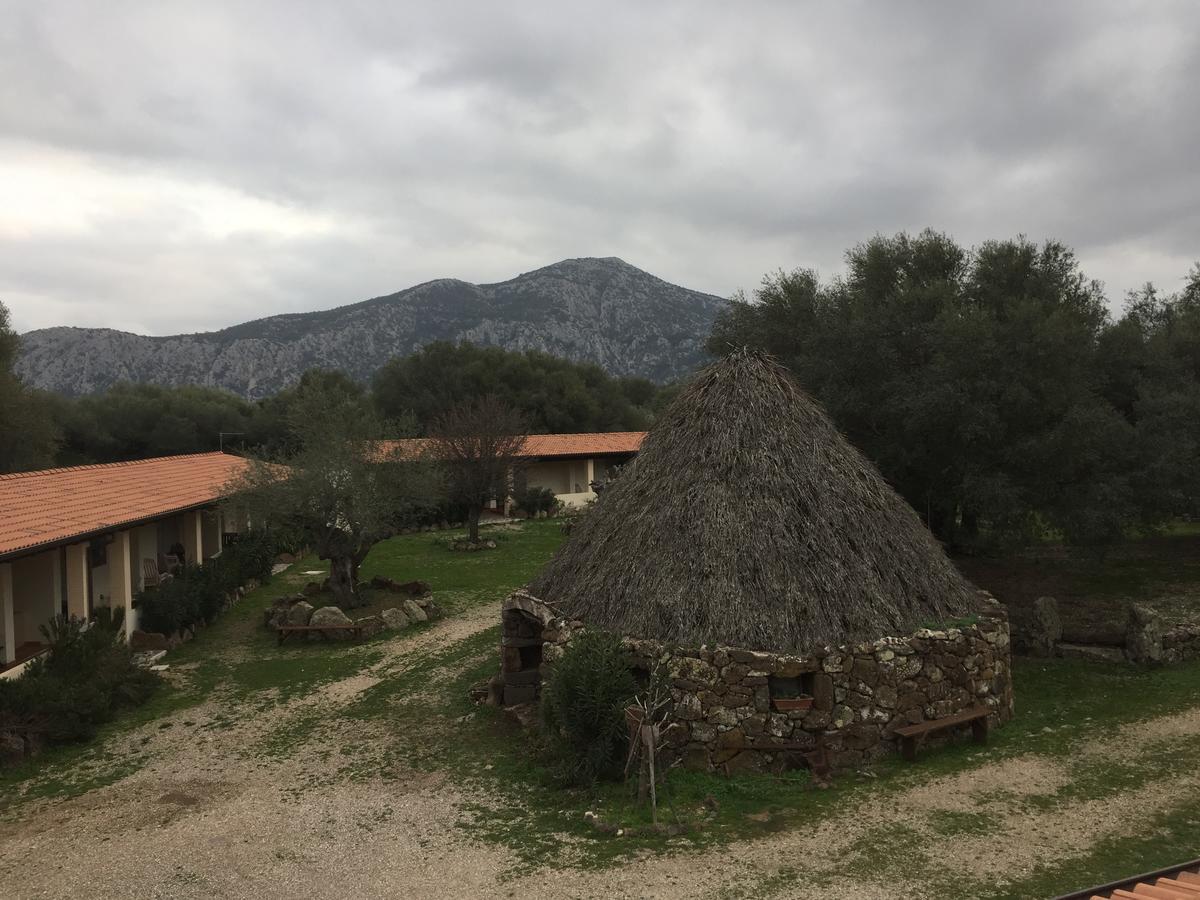 Turismo Rurale Su Cuile Villa Dorgali Exteriör bild