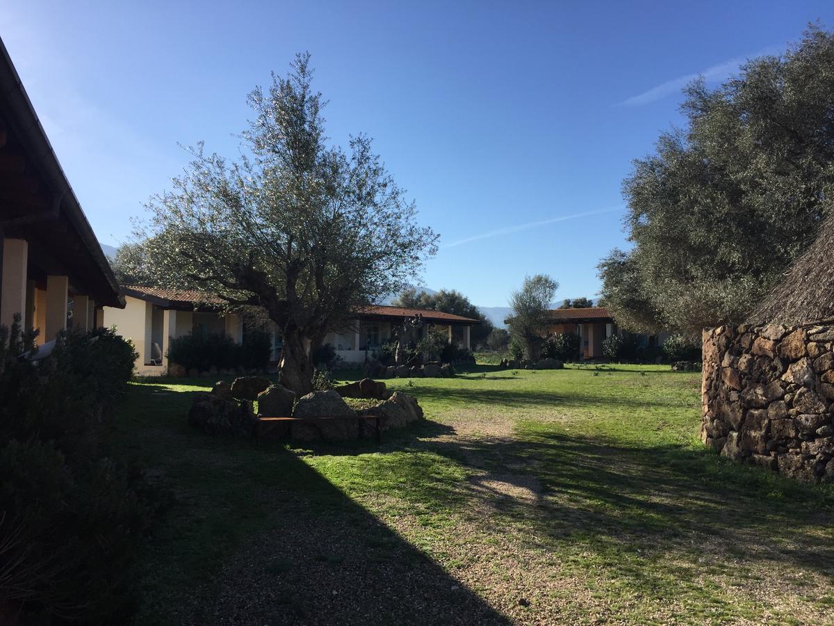 Turismo Rurale Su Cuile Villa Dorgali Exteriör bild